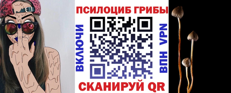 shop клад  OMG ТОР  Псилоцибиновые грибы MAGIC MUSHROOMS  Лукоянов  где купить  